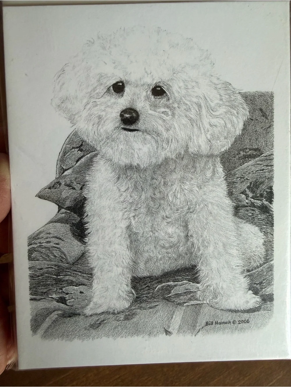 Poodle Dog Note Cards (8) Fine Art